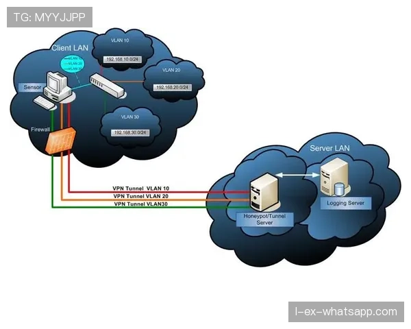 VPN服务安全性探秘：全面解析与实用指南